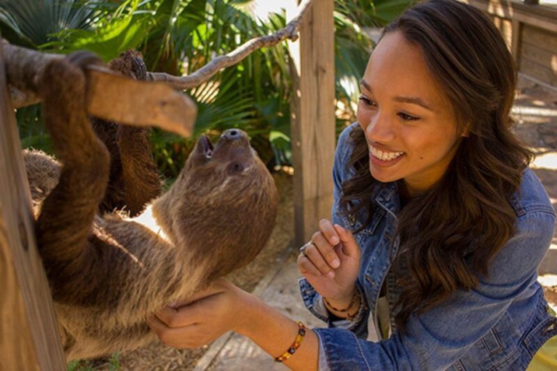 Orlando: Wild Florida Park Ticket and Gator Shows - Practical Tips for Visiting
