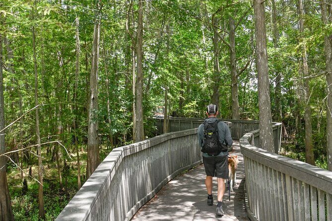 Orlando Wildlife Safari Hike with a Wildlife Photographer - Orlando Wildlife Safari Hike with a Wildlife Photographer: A Close-Up with Florida’s Nature