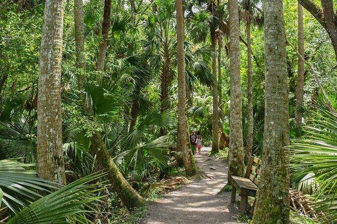 Orlando Wildlife Safari Hike with a Wildlife Photographer - Frequently Asked Questions