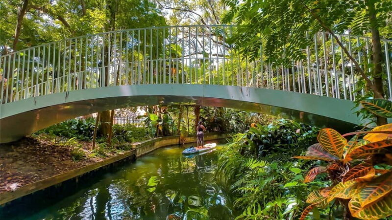 Orlando: Winter Park Paddle Adventure - A Detailed Look at the Winter Park Paddle Adventure