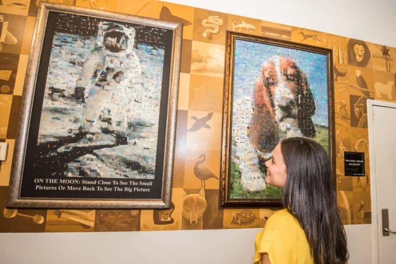 Orlando: WonderWorks Nighttime Entry Ticket - What to Expect at WonderWorks Orlando