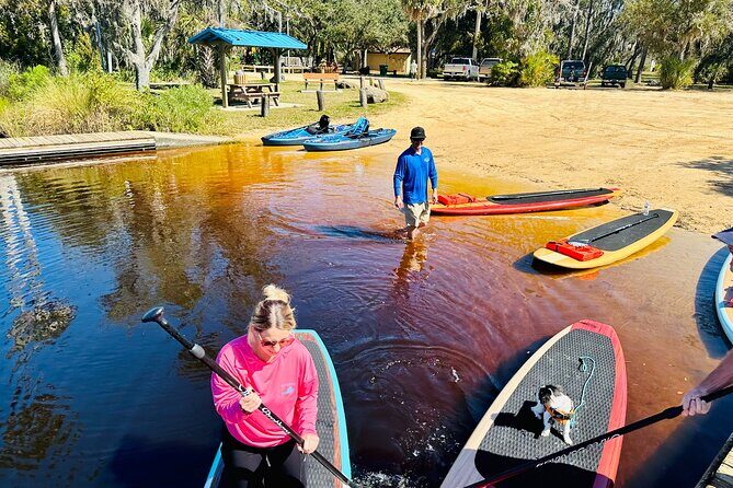 Ormond Beach Manatee and Nature Tour Kayaking or Paddle Boarding - A Deep Dive into the Ormond Beach Experience