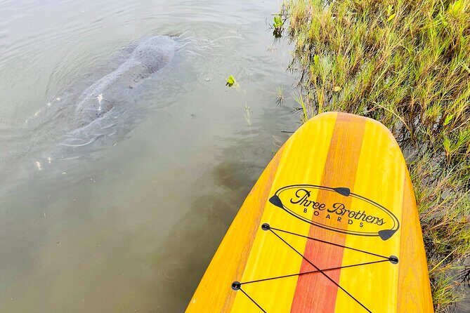 Ormond Beach Manatee and Nature Tour Kayaking or Paddle Boarding - Why This Tour Offers Excellent Value