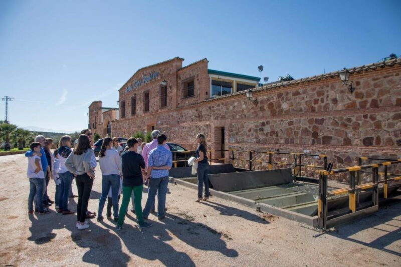 "Oro Bailén": Tour of Oro Bailen Grove + Mill + Tasting - Who Will Love This Tour?
