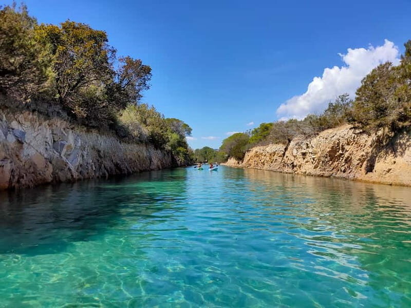 Orosei: Guided Kayak Tour of the Biderosa Oasis at Sunset - Key Points