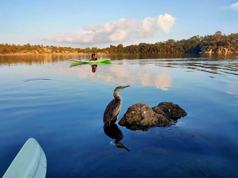 Orosei: Guided Kayak Tour of the Biderosa Oasis at Sunset - A Beautiful, Relaxing Kayak Adventure in Sardinia’s Biderosa Oasis