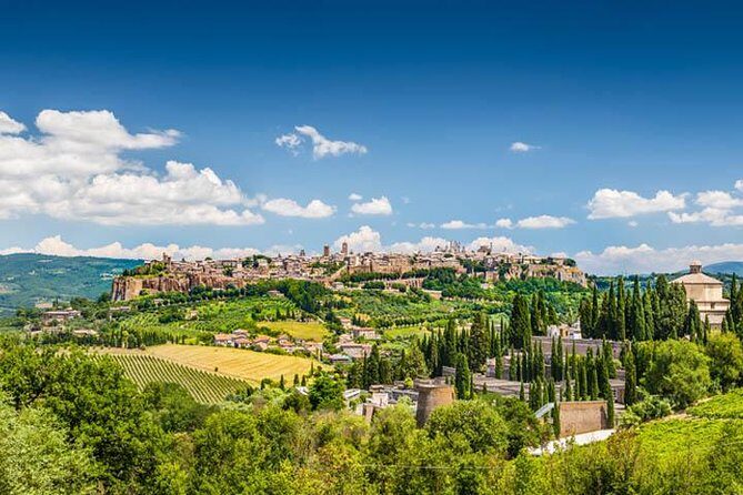 Orvieto and Civita di Bagnoregio from Civitavecchia - Private Tour - Optional Wine Tasting: Savoring Local Flavors