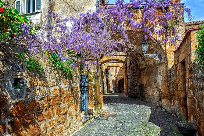 Orvieto and Civita di Bagnoregio from Civitavecchia - Private Tour - Flexibility and Personalization