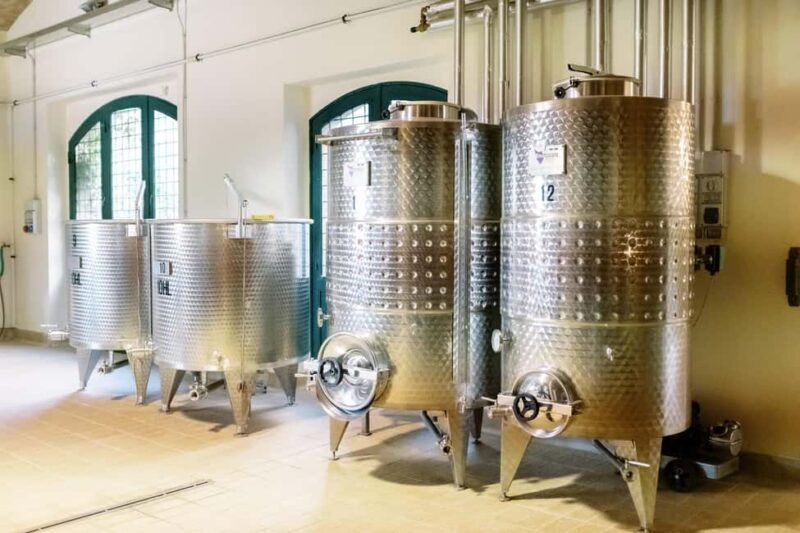 Orvieto: Classic Wine Tasting at Madonna del Latte - Who Should Consider This Tour?