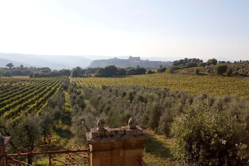 Orvieto: Tour and wine tasting at Tenuta Le Velette - Key Points