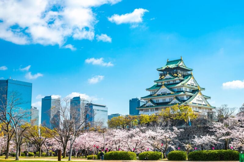 Osaka: 1-Day Private Customizable Trip by Car - Discover Osaka in Style and Comfort