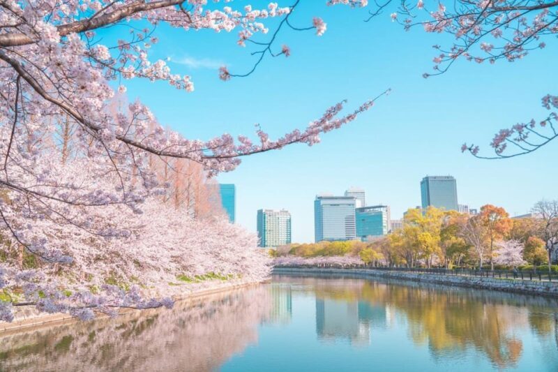 Osaka: 1-Day Private Customizable Trip by Car - Authentic Experiences and Practical Tips