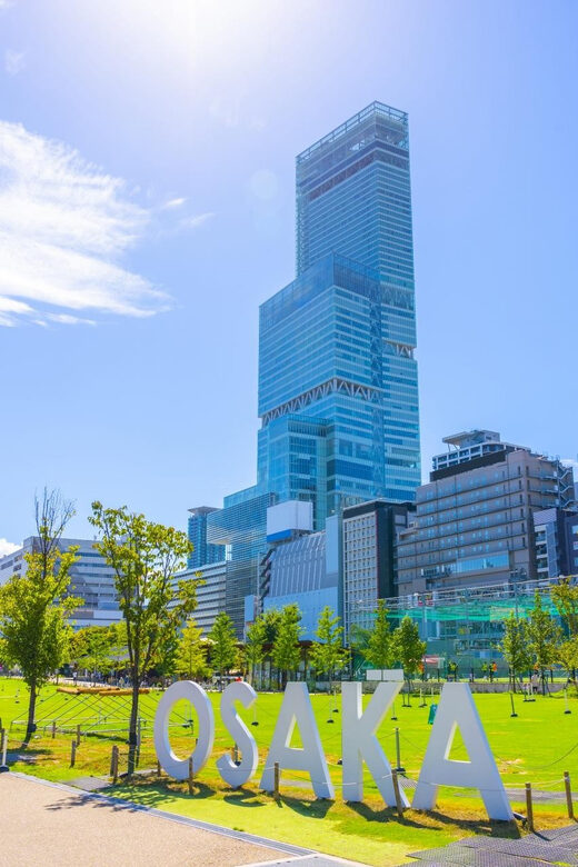 Osaka: 1-Day Private Customizable Trip by Car - The Sum Up: Is This Tour Right for You?