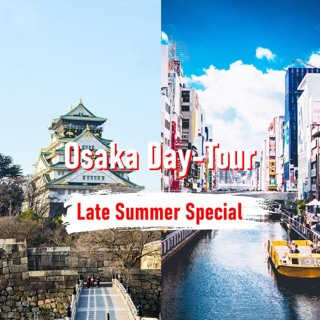 Osaka: 10-hour Customizable Tour with Private Car - Key Points