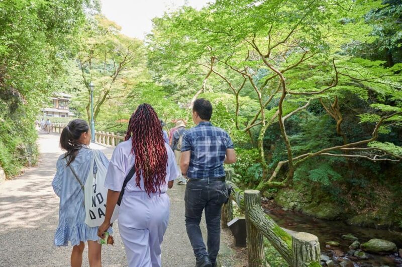 Osaka: 2.5-Hour Private Scenic Hike to Minoo Waterfall - Who Is This Tour Best For?