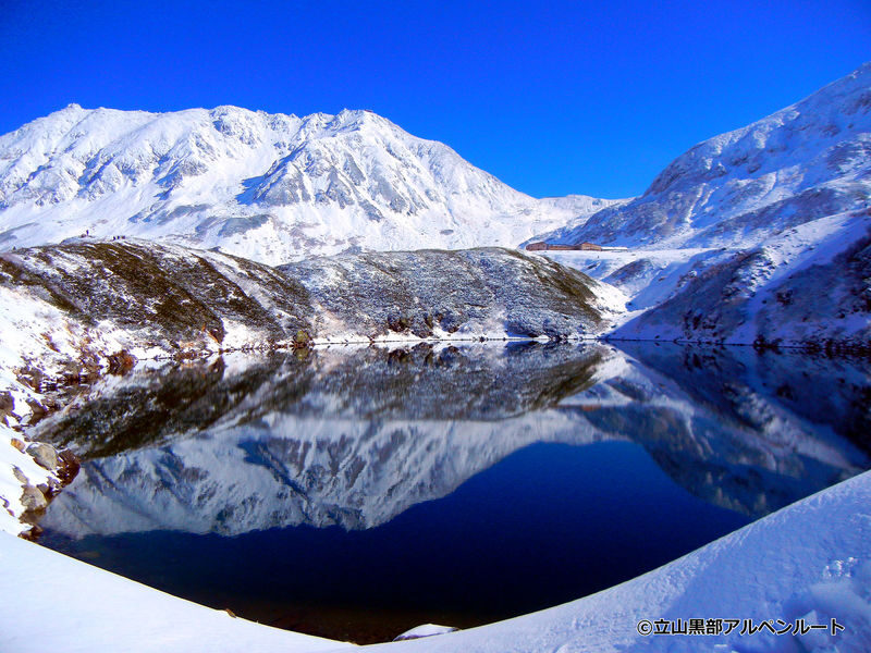 Osaka 2-Day Tateyama Kurobe Alpine Route & Kanazawa Tour - Day two is all about the Alpine Route