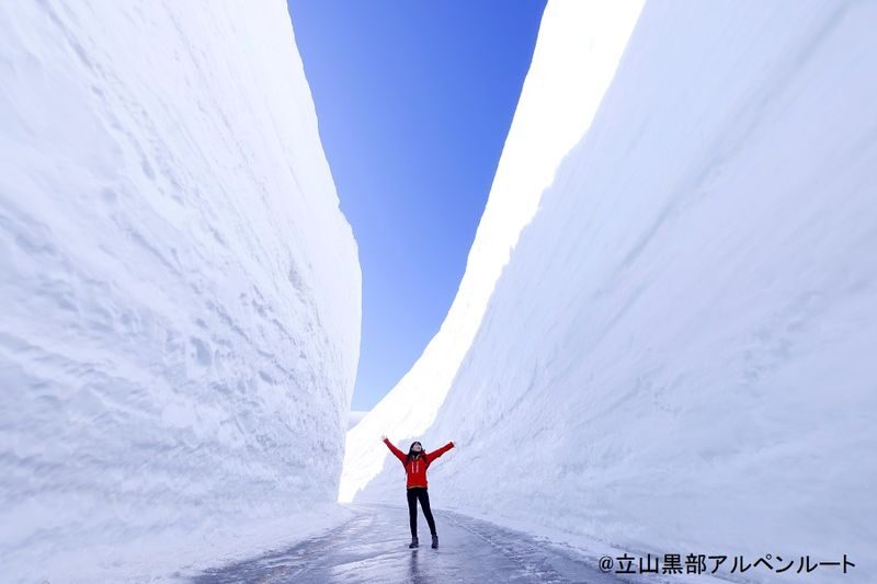 Osaka 2-Day Tateyama Kurobe Alpine Route & Kanazawa Tour - What the starting price buys you