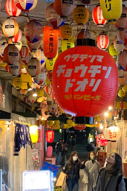 Osaka: 2-Hour Bar Hopping Guided Tour with Local in Temma - Value & Practicality