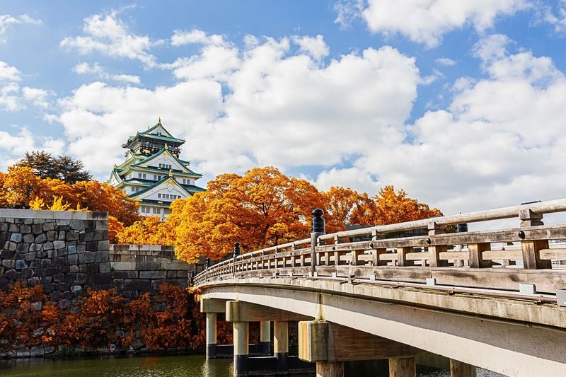 Osaka 4hr Private Tour with Government-Licensed Guide - Osaka Castle brings scale and history