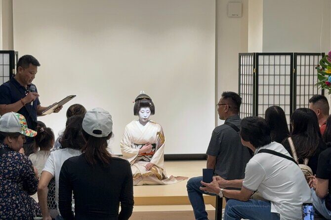 Osaka 6hr Private Guided Tour with Geisha Performance - A Closer Look at the Osaka 6hr Private Guided Tour with Geisha Performance