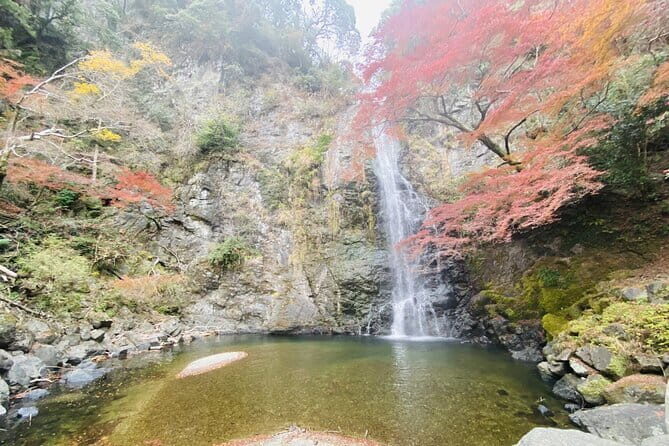 Osaka 8 Hours Tour Explore City and Minoh Falls - A Closer Look at the Itinerary