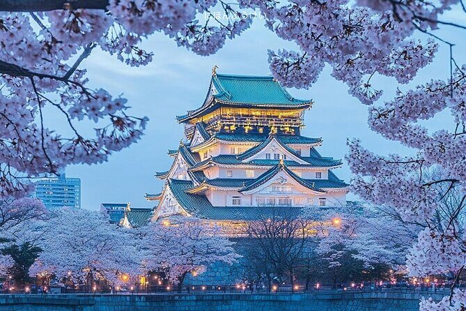 Osaka 8hr Highlights Private Tour with Licensed Guide - Key Points