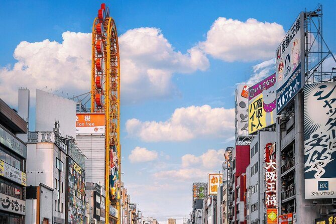 Osaka 8hr Highlights Private Tour with Licensed Guide - Your Guided Tour of Osaka: What to Expect