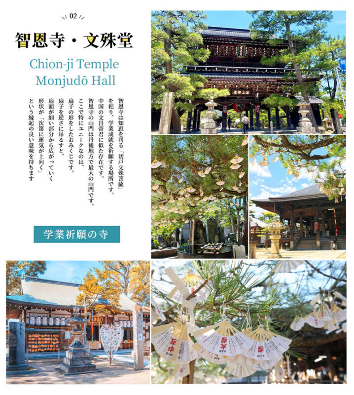 Osaka Amanohashidate & Ine Funaya One-Day Tour - Chionji Temple and the rotating bridge
