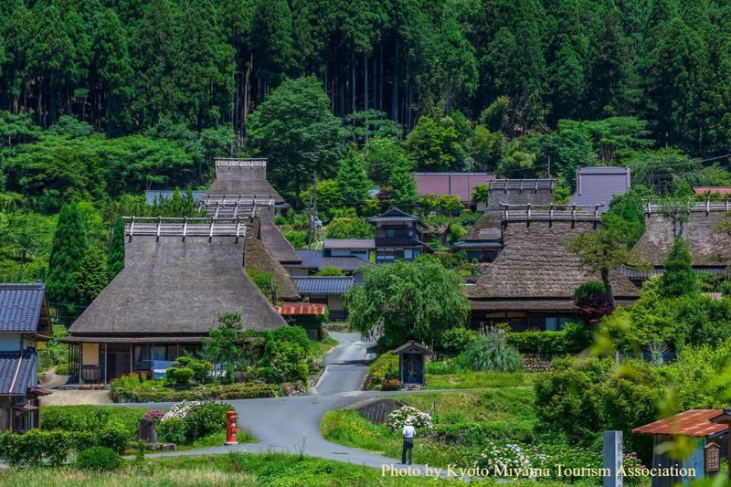 Osaka Amanohashidate & Kayabuki No Sato Full-Day Private Tour - What a private tour changes