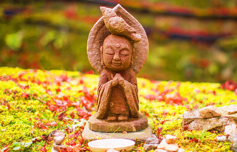 Osaka and Kyoto Biwako and La Collina Full-Day Guided Tour - Long drives, group comfort and realistic pacing