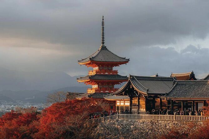 Osaka and Kyoto Private Car City Tour - What Travelers Can Expect
