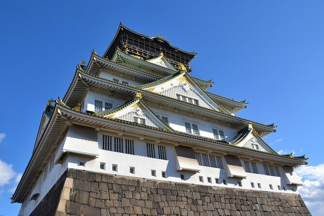 Osaka and Kyoto with National licensed guide by Private Car - A Deep Dive into the Tour Experience