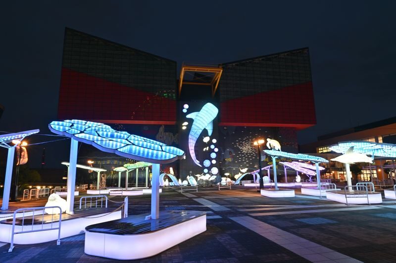 Osaka Aquarium Kaiyukan Ticket - The central tank and the whale shark