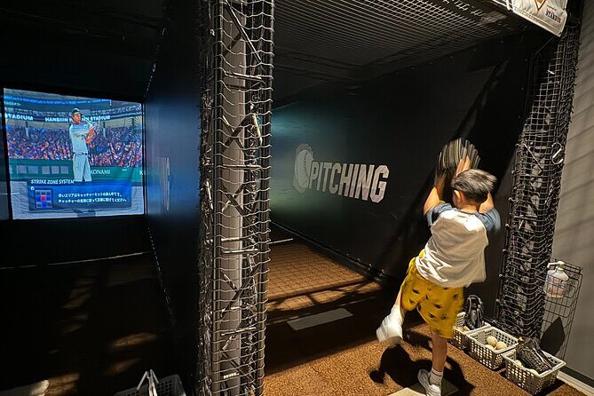 Osaka: Baseball Pilgrimage  Guided Tour of Iconic Koshien - Final Thoughts: Who Should Consider This Tour?