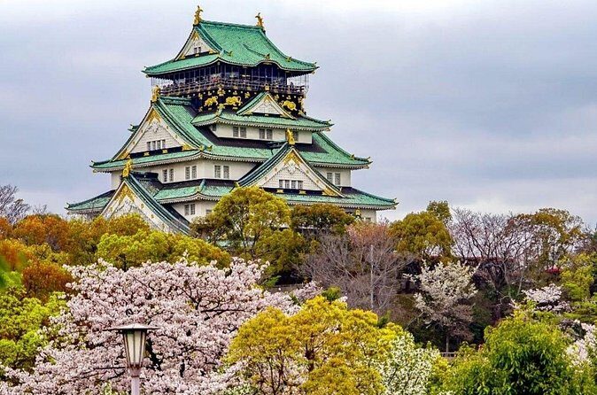 Osaka Best Food Tour With A Guide - Who Is This Tour Best For?