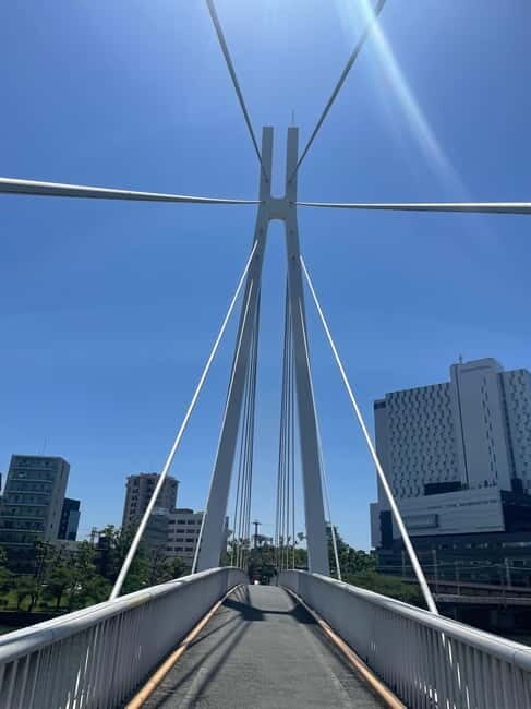 Osaka: Bike Adventure with Lunch - Exploring Osaka on Two Wheels: A Detailed Review