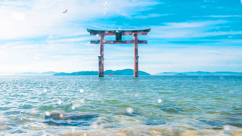Osaka Biwako & Sanzen-in Full-Day Cultural Tour - A full day beyond Osaka