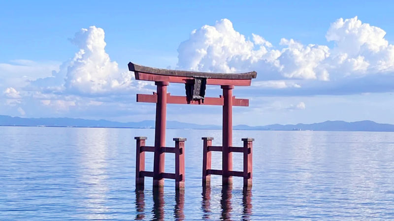 Osaka Biwako & Sanzen-in Full-Day Cultural Tour - Guides who make the day easier