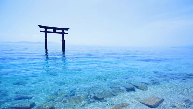 Osaka Biwako & Sanzen-in Full-Day Cultural Tour - Is $51.75 good value?