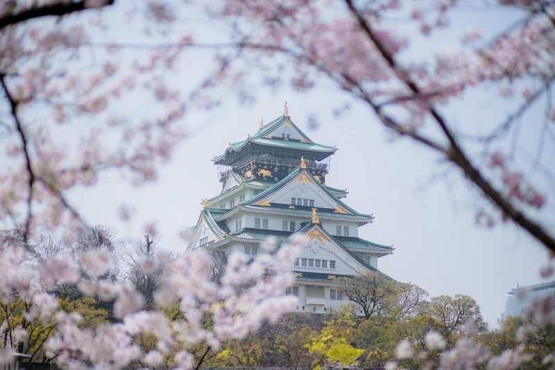 Osaka Castle 3 hours Historical Walking Tour - At a glance