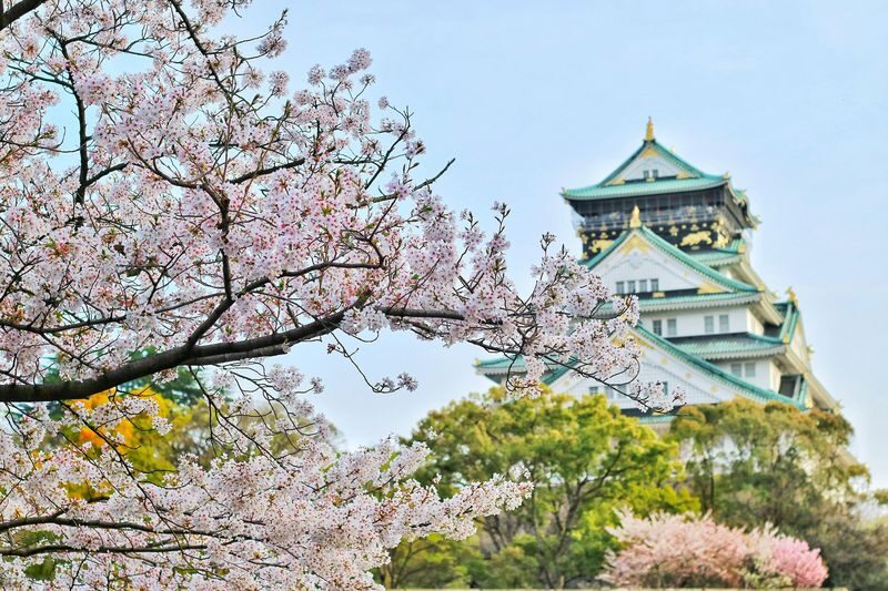 Osaka Castle 3 hours Historical Walking Tour - Nishinomaru Garden and the quieter side of the grounds