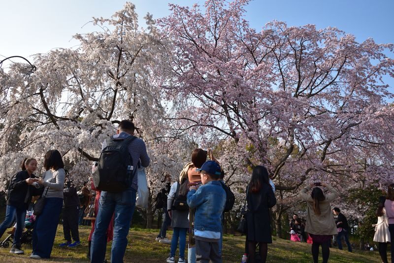 Osaka Castle 3 hours Historical Walking Tour - Miraiza Osaka-Jo and the stories in the stone