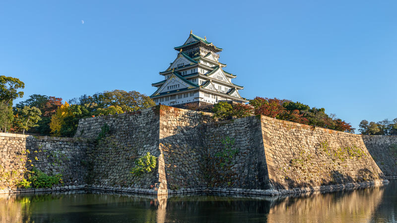 Osaka Castle 3 hours Historical Walking Tour - Hokoku Shrine and Toyotomi Hideyoshi