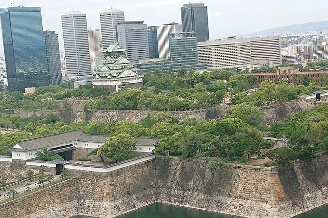 Osaka Castle & Dotonbori Lively One-Day Walking Tour - Discover Osaka’s Heart in a Full Day