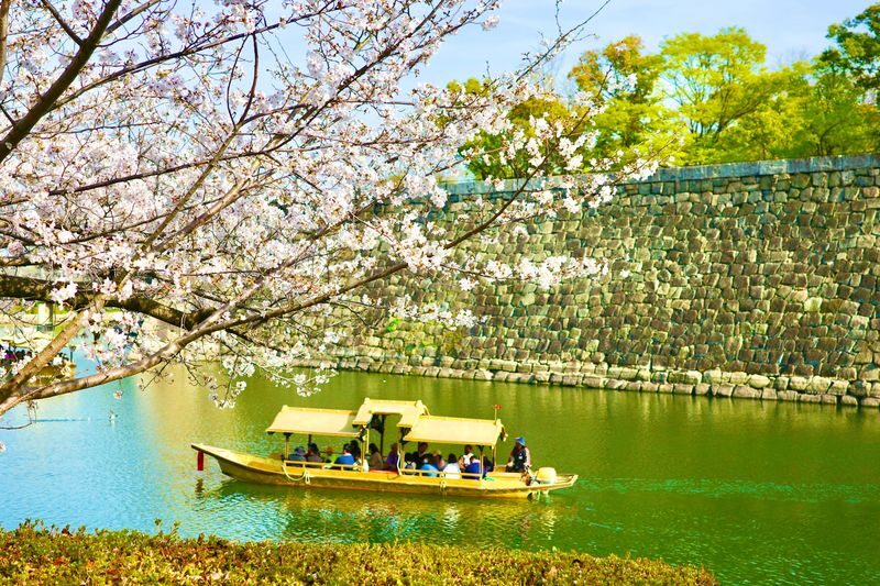 Osaka Castle Historical Private Tour: Stories of Samurai and Shoguns - The castle tower brings the power struggle into focus