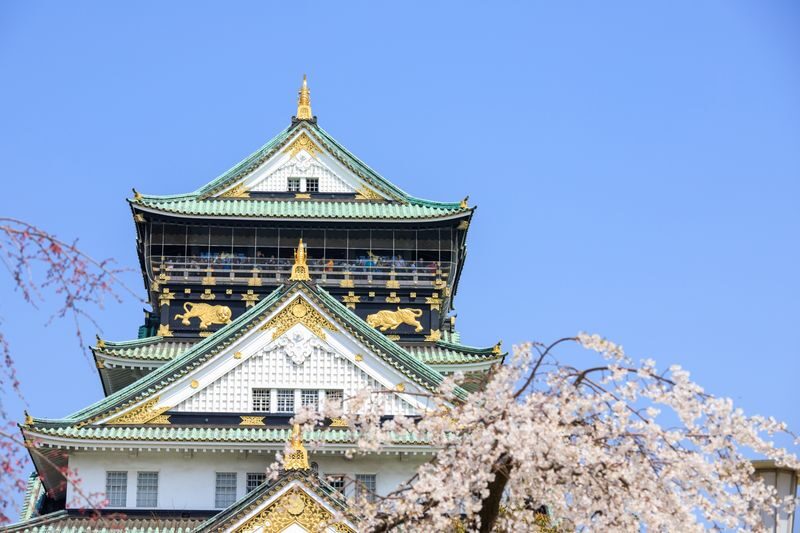 Osaka Castle Historical Private Tour: Stories of Samurai and Shoguns - Who will get the most from this Osaka Castle walk