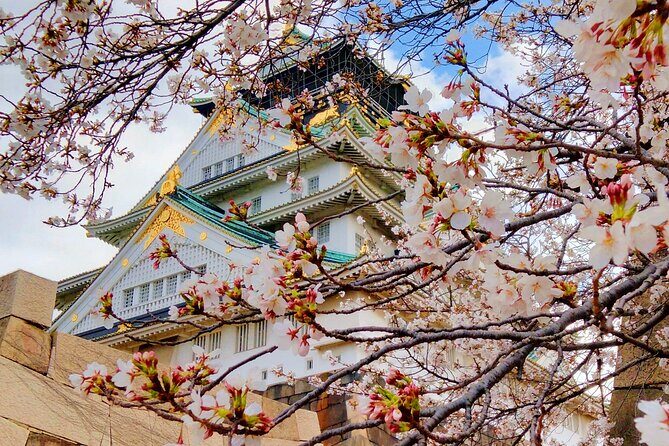 Osaka Castle & Temple Walking Tour with Multilingual Audio Guide - Key Points