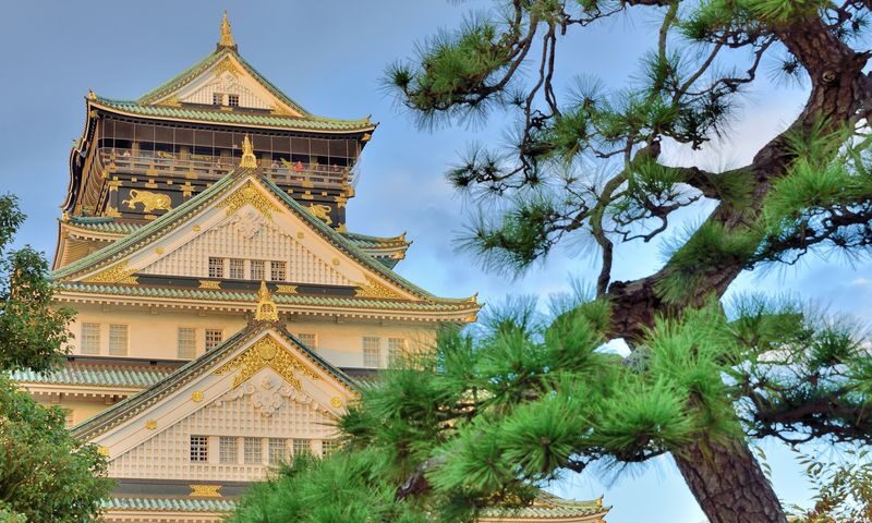 Osaka Castle Ticket - Choosing between the castle, garden and city pass