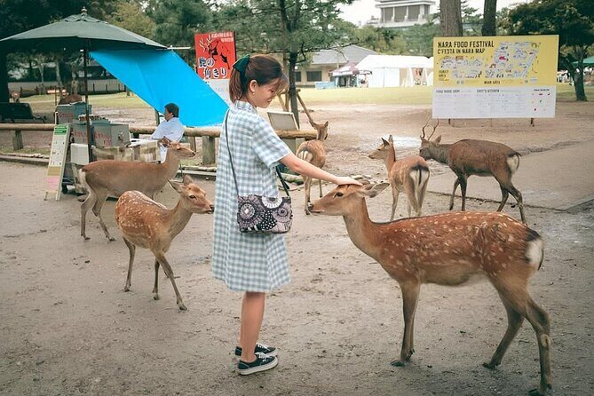Osaka Castle to Nara Deer Park Group Day Tour by Car and Guide - A Detailed Look at the Osaka & Nara Day Tour