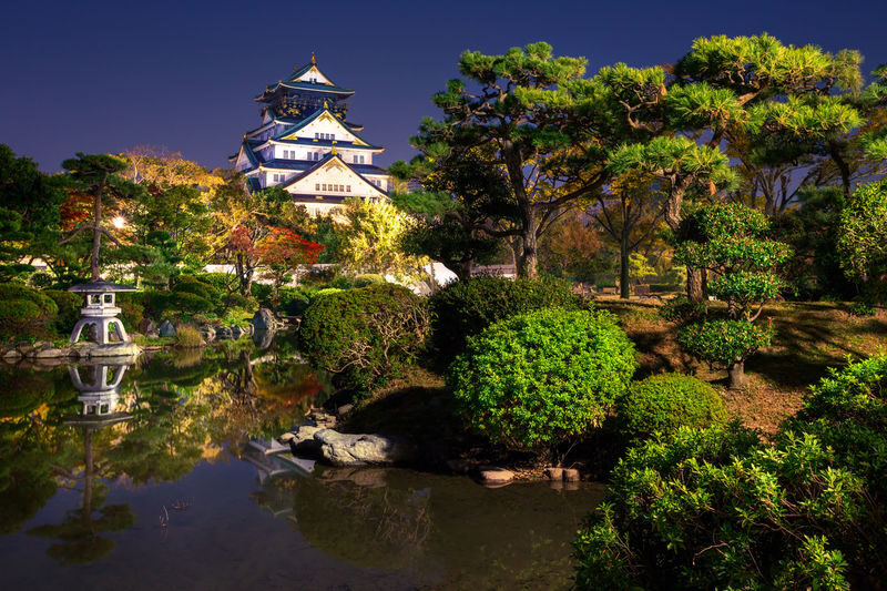 Osaka: Castle Tower Admission / Guided Walking Tour - Hokoku Shrine and a Different Side of the Grounds